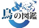 鳥種類|五十音順(鳥の名前) 